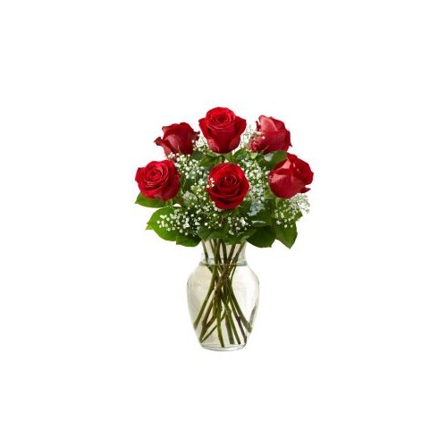 6_rose
