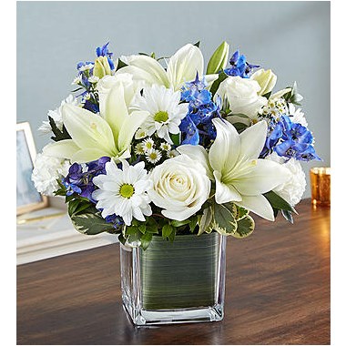 Healing Tears&trade; Blue And White