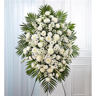Standing Spray All White