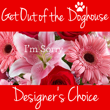 Get_Out_of_the_Doghouse_Tile