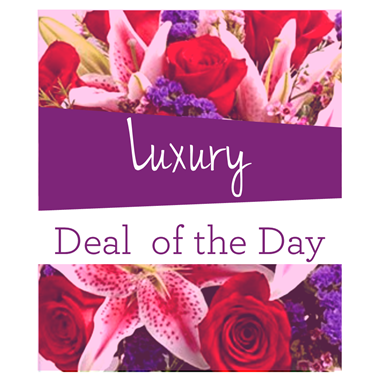 Luxury Deal Of The Day