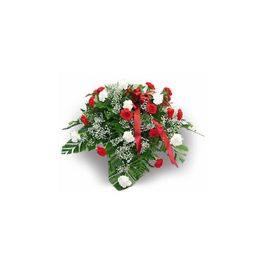 36 Carnation Casket Spray
