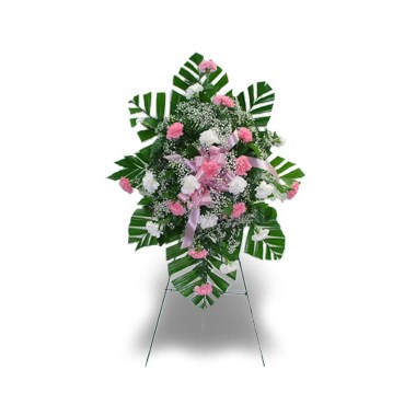 24 Carnation Easel