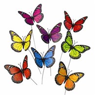 colorful-butterfly-accessory-for-flowers-green-plants-gifts