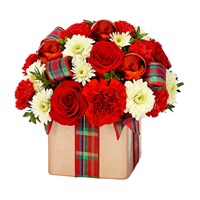 Holiday Flower Present (BF288-11KM)