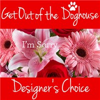 Get_Out_of_the_Doghouse_Tile