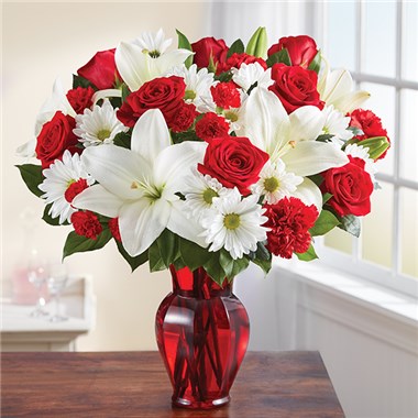Red & White Delight™