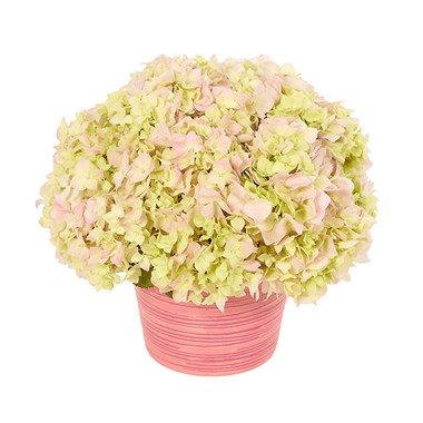 Hey Day Bouquet