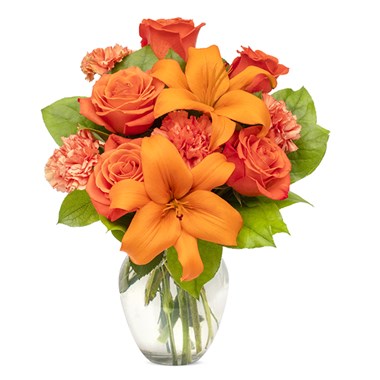 All Orange For You